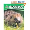 Hedgehogs (British Wildlife)