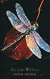 Glass wings