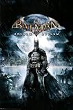 Batman: Arkham Asylum (Key Art, Batman in Rain) Video Game Poster Print - 22 X 34