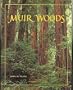 Muir Woods: The Ancient Redwood Forest Near San Francisco