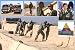 Over 5500+ Digital Photographs of the Wars in Iraq & Afghanistan