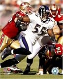 Terrell Suggs - 2007 Action 16 x 20 Licensed Photo - Poster -- Framing Options Available