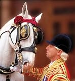 The Royal Mews at Buckingham Palace: Official Souvenir Guide