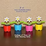 Solar Powered Dancing Daisy Flower - Package of Three (3) Flowers