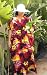 Apparel : Hawaiian Kimono Red/Yellow flower