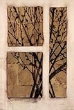 Monochrome Blossom HIGH QUALITY MUSEUM WRAP CANVAS Print Fiona Anderson 24x36 Monochrome Blossom HIGH QUALITY MUSEUM WRAP CANVAS Print Fiona Anderson 24x36