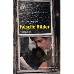 Falsche Bilder: Roman