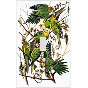 Parakeet Tree Decorative Switchplate Cover