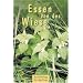 Essen von der Wiese