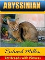 ABYSSINIAN Cat (Cat Breeds with Pictures Quicklet)