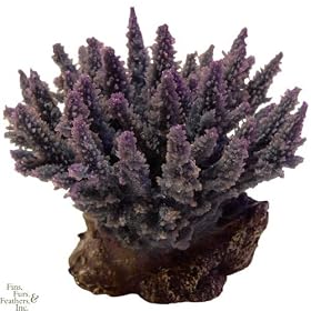 Nature`s Image Bushy Acropora: PURPLE: 6in x 6in x 5 inch (Acropora cerealis) Coral Reproduction by Nature`s Image