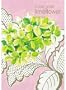Tricia Guild Lime Flower Journal (Tricia Guild Flower Collection) (Tricia Guild Limeflower (Quadrille))
