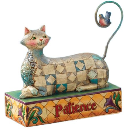 Patience Cat