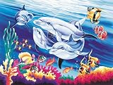 Review Oasis PL/36 / Reeves - Senior Painting By Numbers Underwater Dolphins
