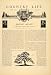 1926 Article Spring Walter Eaton Outdoors Forest Daffodil Flower Birch Tree - Original Print Article