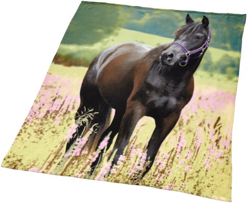 Imagen principal de Herding 752485035