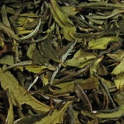 darjeeling white tea