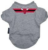 Chicago Bulls adidas Youth Team Logo Short Sleeve T-Shirt - Large (14-16)