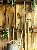 51cz5mFbYPL. SL160  Garden Tools Hanging in Shed Fork, Shears, Rake, Lopper, Axe, Saw & Gardening Gloves Photographic Poster Print by Martine Mouchy, 36x48