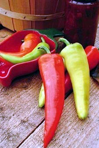 Dante's Hot Pepper 20 Seeds - Long/Medium Hot