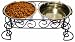 SPOT SCROLL WORK SS DINER 1-PT