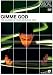 Gimme God: The Journey of Your Unfolding Faith (Highway Visual Curriculum)