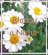Blodau a Natur (Welsh Edition)