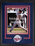 Minnesota Twins Deluxe 16x20 Vertical Photograph Frame