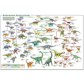 Dinosaur Evolution Poster