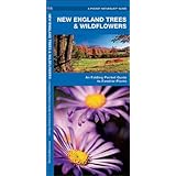 new england trees  wildflowers a folding pocket guide to familiar species pocket naturalist guide series