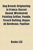 Dog Breeds Originating in France: Basset Hound, Wirehaired Pointing Griffon, Poodle, French Bulldog, Dogue de Bordeaux, Papillon-