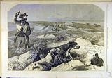 1860 GROUSE-SHOOTING HARRISON WEIR GUN-DOGS SPORT PRINT