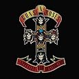 Appetite For Destruction