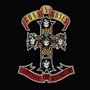 Appetite For Destruction