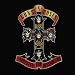 Appetite for Destruction