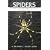 Spiders of the Eastern United States: A Photographic Guide