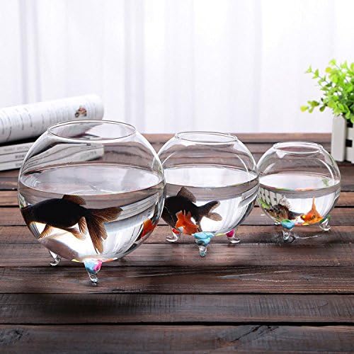 Clear Glass Vase Fish Tank Aquariums Ball Bowl Planter Terrarium Home Decor New Item Size:M