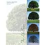 The Life Span: Human Development for Helping Professionals (3rd Edition)