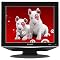 Sharp 15" LCD TV - LC15SH7U