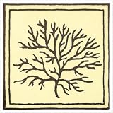 Accent Coral Tree Chocolate Ivory Novelty Rug Size: 3' x 3' by 
