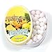 Lemon - Abbaye de Flavigny Tin Anise drops all natural [1.75 oz], One