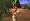 The Sims 2: Castaway (PS2)
