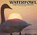Waterfowl: Ducks, Geese and Swans of the World