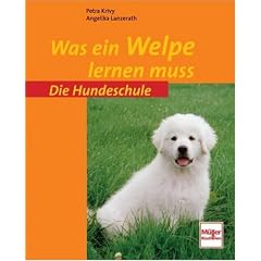 Die Hundeschule. Was ein Welpe lernen muss