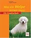 Die Hundeschule Was ein Welpe lernen mu&szlig;