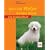 Die Hundeschule Was ein Welpe lernen mu�