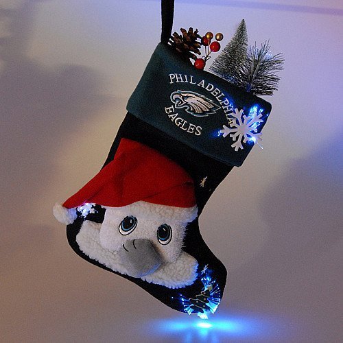 Philadelphia Eagles Mascot Fiber Optic Stocking