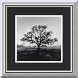 Oak Tree, Sunrise, Northern California, 1966 Framed Art Print by Ansel Adams,13.9 x 13.9 Framed