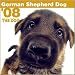 German Shepherd Dog Wall (ARTLIST) - 2008 Calendar