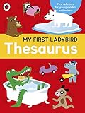 My first Ladybird thesaurus